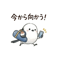 Fluffy Java Sparrow's Everyday Emotions