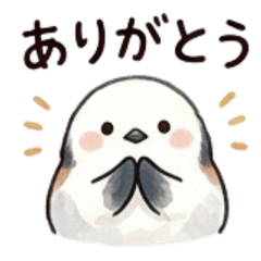 Koyuki the Shima Enaga Daily