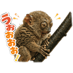 SHINICHI_20260422202016