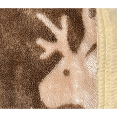 Deer in Nara knows a lot about trains.