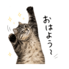 Fluffy Luka_20260422202154