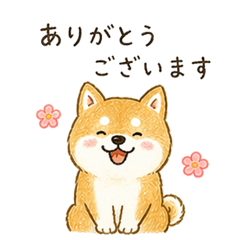 Cute Hand-Drawn Shiba Inu Stickers