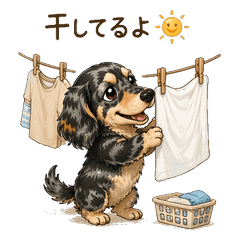 Kokorochin's Daily Life