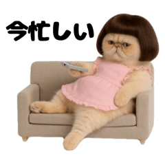 mataro_20260422201236