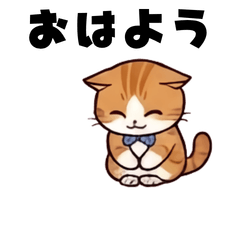 Munchkiin's daily life