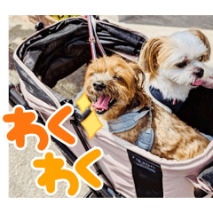 kamoe_20260423070459