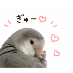 araremama_20260423080011