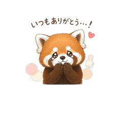 Cute Red Panda Greetings