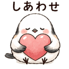 Shimaenaga Koyuki Everyday 2