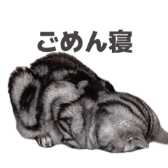 Goemon_20260423110228