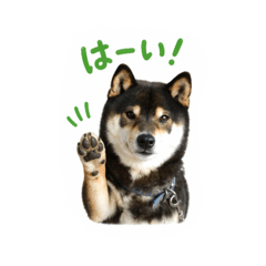 Ogura Takaaki_20260423082352