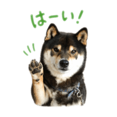 Ogura Takaaki_20260423092304