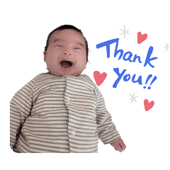 sotapapa_20260423082523