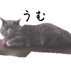 kazutsuji_20260422213604