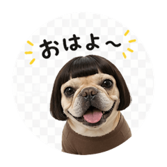 kinako_20260422213250