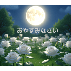 MIMIKA_20260422214045