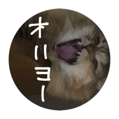 mwg'g_20260423112929