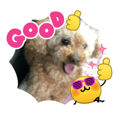 Satomi_20260423113649