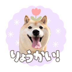 harachan_20260423112526