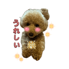 coral snow_20260423120650