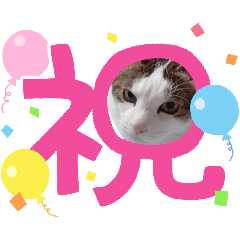 whitesparrow_20260423120928