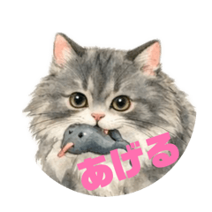 Blue Tabby Cat_20260422223533