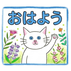 mitsumi_20260422223850