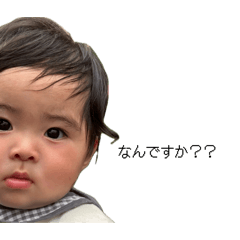 shiro_20260422224237