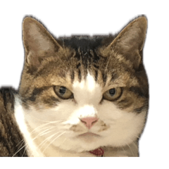 YUINA_20260422143526