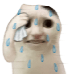 Comuse Catto face.exe