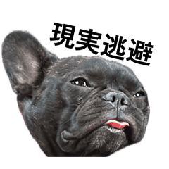 SHIORI_20260422213915