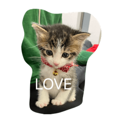 chiiiii_20260422223710