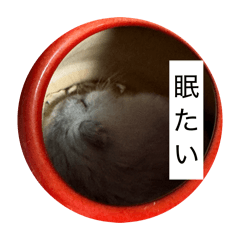 marohai_20260422225030