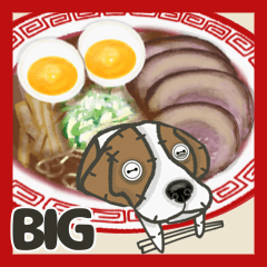 Beagle Dog BIG3 (Gourmet)