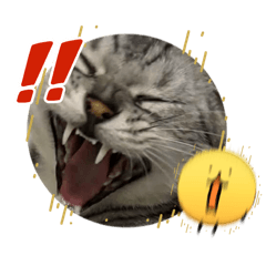 Sornpapha_20260422145040