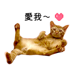 呆呆小宇宙與他的兩個姐姐