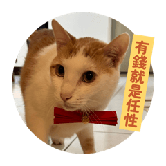 吃不停的陳布丁