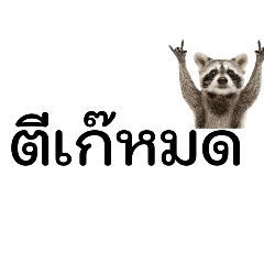 Thipawan_20260422153103