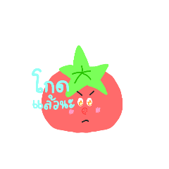 nicha_20260422155056