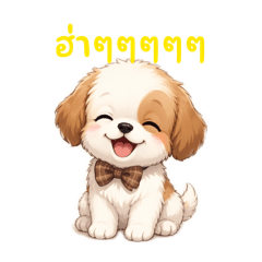 SALMON Si_20260422153708