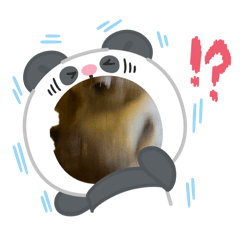 催尬