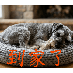 熊熊可愛貼圖系列