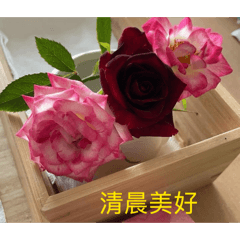 Mandy_20260422202435