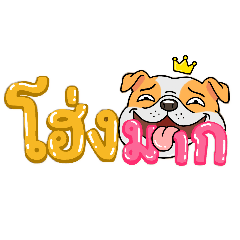 Ji_Selected_20260422170412