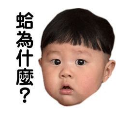 我很帥我媽也漂亮