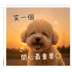 寶貝的日常-夕陽篇