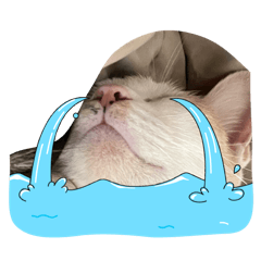 LUCK's Studio_20260422162149