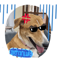 BukTake_20260422175218