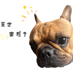 qluv__20260422235251