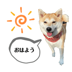 saramike_20260422235209